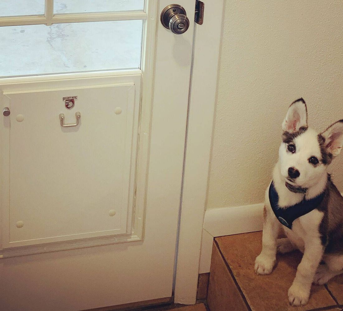 NoCo Pet Doors installation project 7