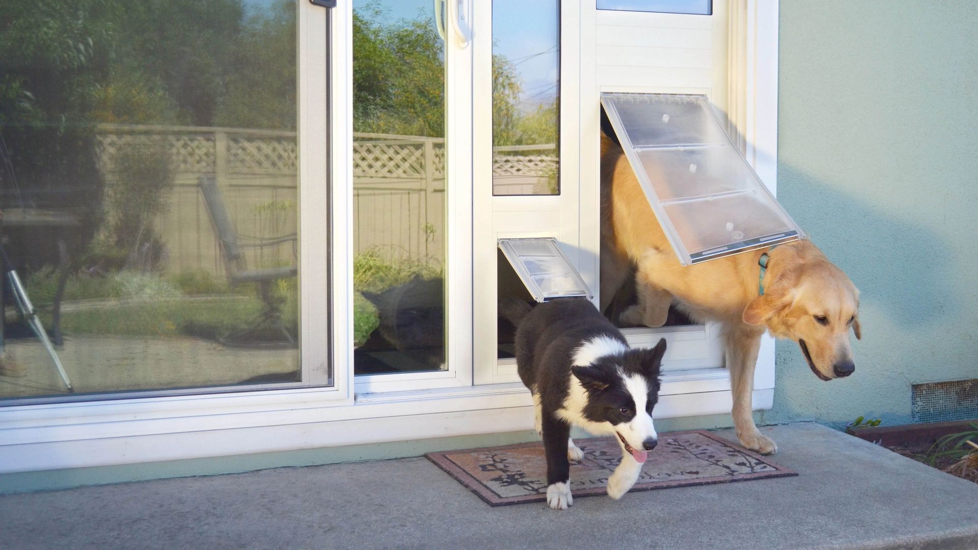 Durable and secure in-glass dog door installation for Northern Colorado home